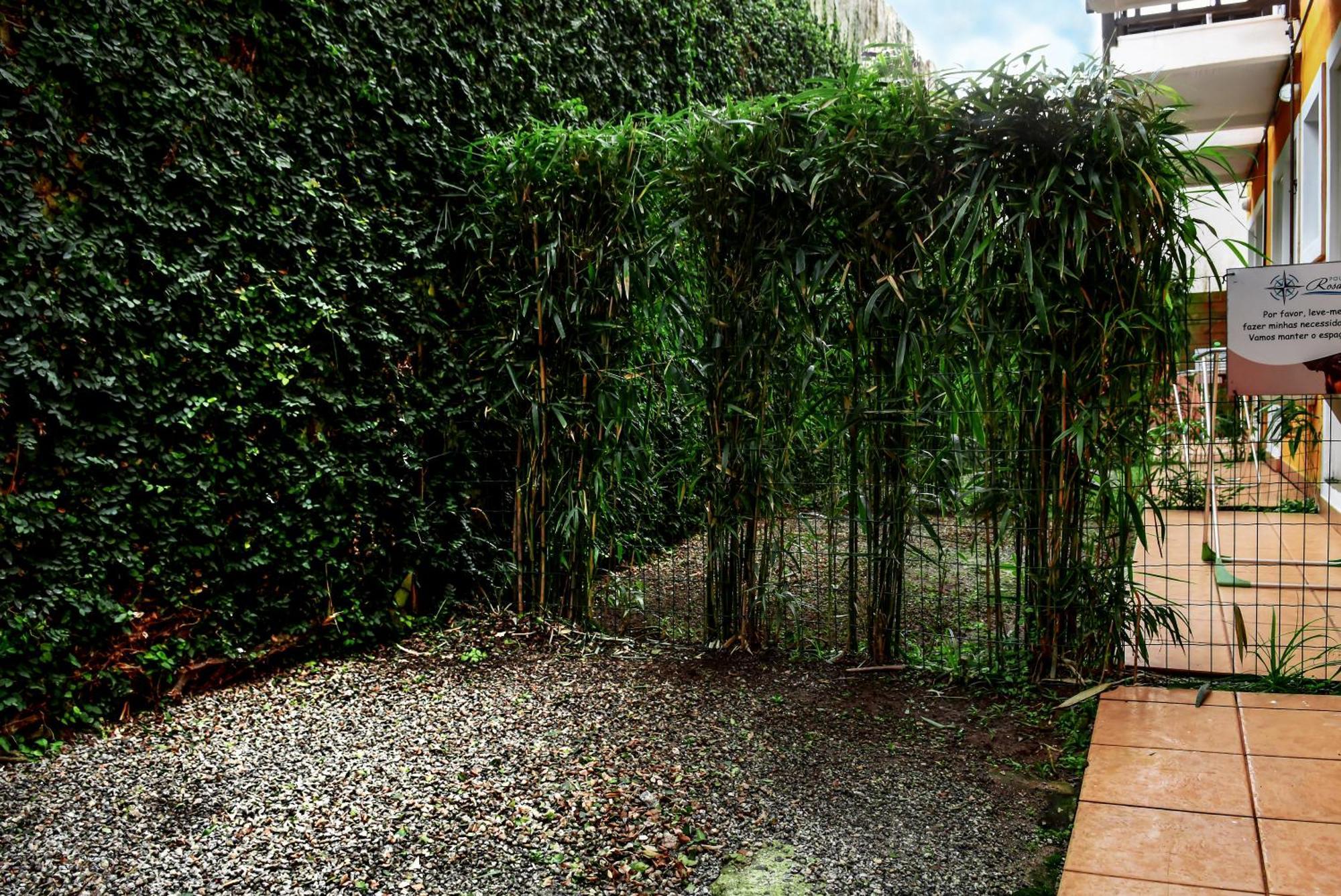 Pousada Rosa Dos Ventos Juquehy Juqueí Habitación foto
